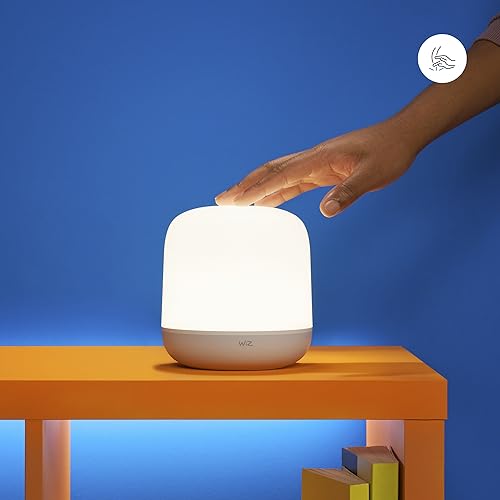 Wiz Wi Fi Ble Portable Hero Type C - vue 3