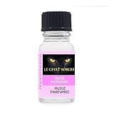 Le Chat Sorcier
