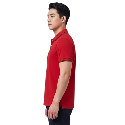 Image of Polo T Shirt for Man |with Collar | Half Sleeve | Summer Wear | Casual Pure Cotton T Shirt for Men (Available Size M- 4XL)