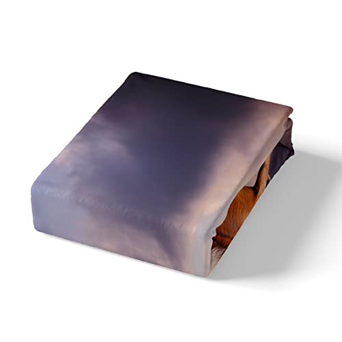 Horse Bedding Set Queen Size For Girls,Brown Galloping Horse Duvet Cover 3D Farm Animal Printed Comforter Cover For Kids Teens Women,Rustic Sunset Scenery Pasture Nature Bed Sets With 2 Pillowcases #TOP3