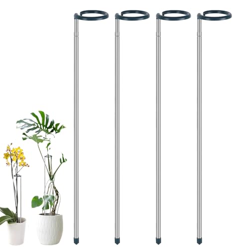 AXe[L, Lk|x, 4{Zbg ėp\ ό󐫃K[fjOANZT[, Xe Ag}g  }[S[h ỏԂ