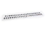 US Presidents Ruler (1)
