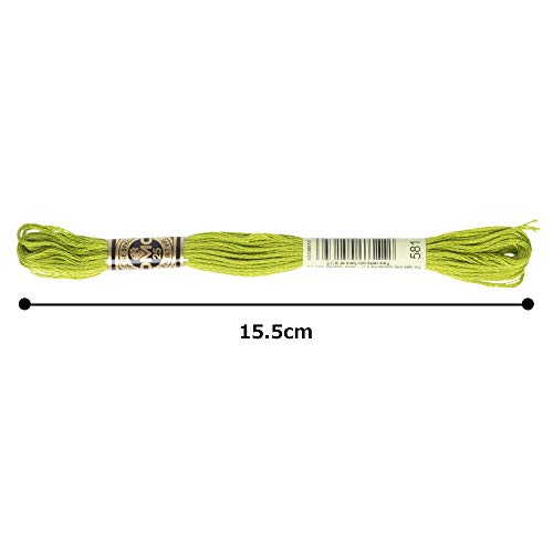 Image of DMC 6-Strand Embroidery Cotton Floss, Moss Green
