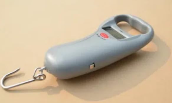 WH-A13L Fishing Tools Handheld Luggage Scale 45KG10g Portable Electronic LCD Scales for Kitchen Lab