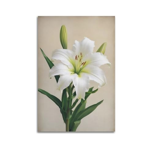 Poster lys blanc ZHOUKEG pour habiller un mur vide sans cadre lourd 60x90