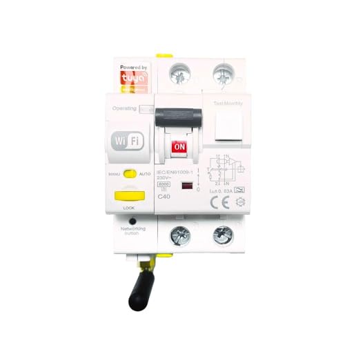 Rasmacor | Diferencial Magnetotermico Rearmable Super Inmunizado WIFI Combinado VIGI | P+N Tipo A 25A 30ma | Control Remoto App Tuya/Smart Life | 230V |