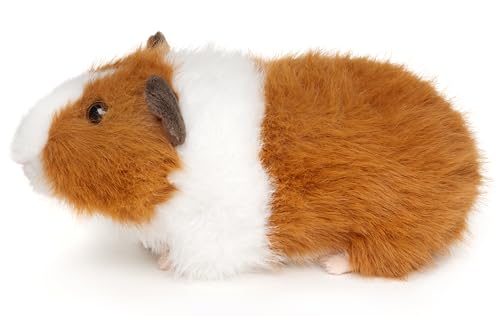 Uni-Toys - Meerschweinchen (braun-weiß) - 21 cm (Länge) - Plüschtier, Kuscheltier