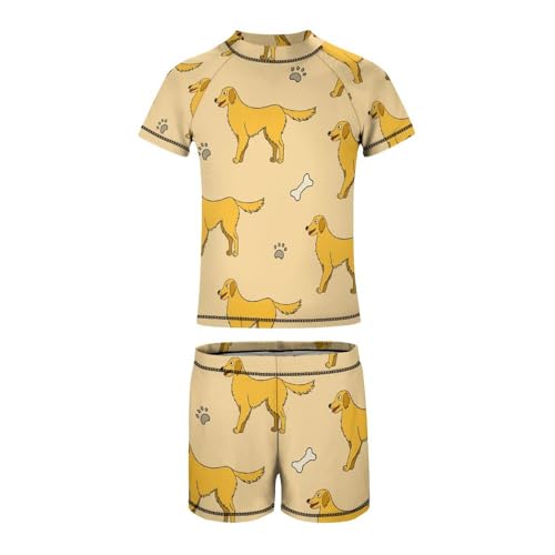Labrador Retriever Dog and PawsChildren's Swimsuits Boys Two Piece Suit10-12Y（150cm）2