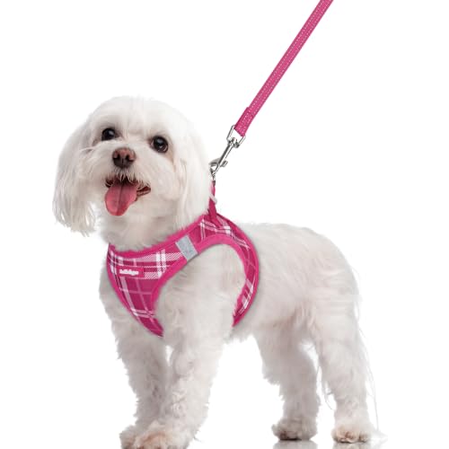 Image of rabbitgoo Dog Harness Medium Sized and Leash Set, Step-in Puppy Pet Vest