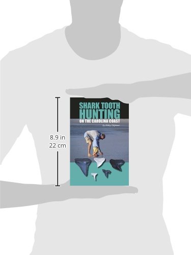 Shark Tooth Hunting On The Carolina Coast #TOP1