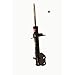KYB 334693 Excel-G Gas Strut, Black