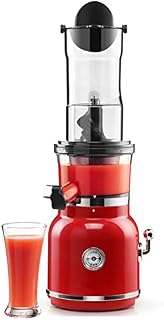Cold Press Vertical Juicer Machine Slow Masticating Juicer Extractor High Nutrient Fresh Vegetable and Fruit Juice Extractor with Quiet Motor & Reverse Function Easy Cleaning 800 Ml (Color : Red)