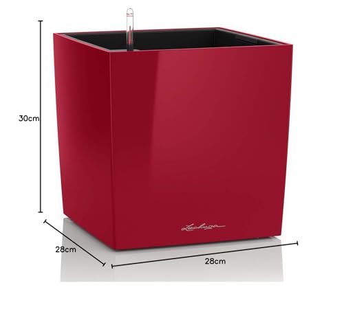 Lechuza Cube Premium 30 Rosso Scarlatto Lucido 16467 - 11