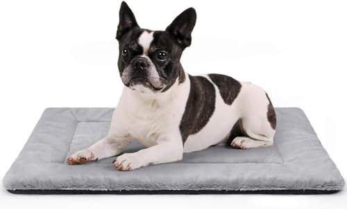 ZENGAOOU 􂦂錢pN[gxbhA^p\tgӂӂybgxbh}bgX[sO}bgXA&Op~߃gxtbgybgxbh(76.2 cm x 50.8 cm, O[)