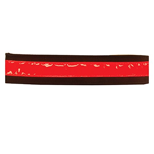 Intrepid International Reflective Bridle Straps, Red