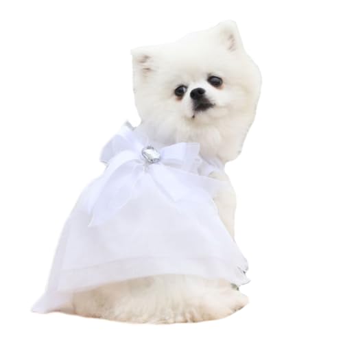 Aimondow ���̃^�L�V�[�h�A���̃E�F�f�B���O�h���X�A�����^���̂��߂̃t�H�[�}���y�b�g�p�[�e�B�[�X�[�c�A���̉��q�l�̒��l�N�^�C�V���c�v�����Z�X�h���X�a�����n���E�B���q���q�L�L(�z���C�g�h���X�AXL)