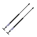 4291 Rear Hatch Liftgate Lift Supports Struts Shocks Gas Springs fit for Jeep Cherokee 1997-2001 SG214022,Pack of 2