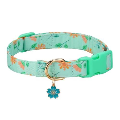 Collar para perro verde con patrón floral y colgante