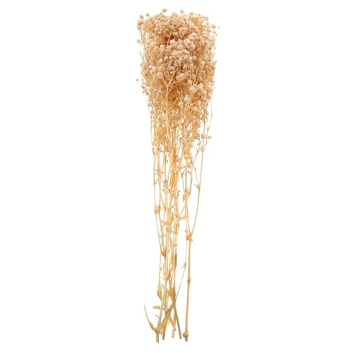 Ramo de flores secas Natural para decoración de hogar