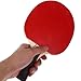 Yardwe Complete Table Tennis Set 1 Paddle Set 3 Balls Interactive Trainer Adults Table Tennis Kit