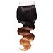 Sunber Hair Brazilian Ombre Body Wave Closure 100% Remy Human Hair Honey Blonde Closure (14, Ombre 1B#/4#/27#)