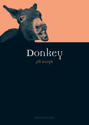Donkey (By: Jill Bough)