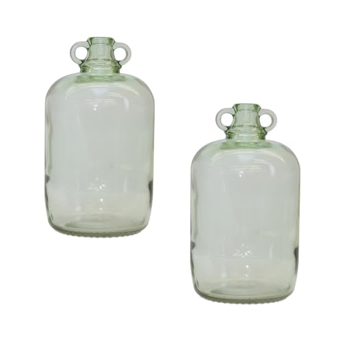 HomeStock Island Interiors Glass Jug Vase (Set of 2)
