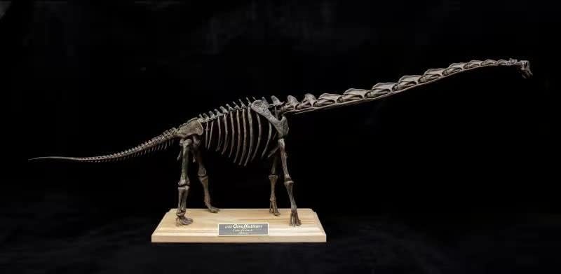VWUVWU 1：35 Scale Giraffatitan Skeleton Figure Brachiosaurus Resin Animal Model Dinosaur Collector GK Decor Gift for Adult
