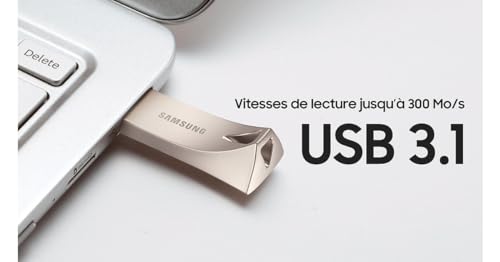 Samsung flash drive Titanium Gray 128 GB
