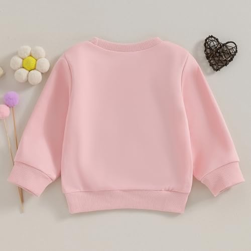 Baby Girl Sister Matching Outfit Long Sleeve Letter Print Crewneck Sweatshirt Pullover Sweater Fall Winter Clothes3