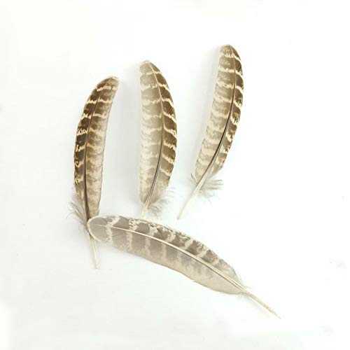 100Pcs Natural Pheasant Feathers Natural Turkey Feathers For Crafts Diy Wedding Party Decorations Accessories 4-6Inch (Natural) #TOP1