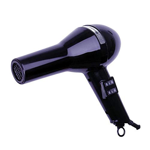 Fransen Headturner Styler Professional Turbo Hair Dryer 1300