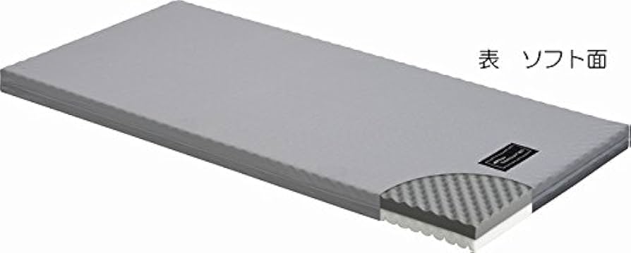 Amazon.co.jp: パラマウントベッド 電動ベットマットレス INTIME 1000