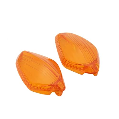 Clignotant moto pour Honda NC750X et CB650F indicateur LED