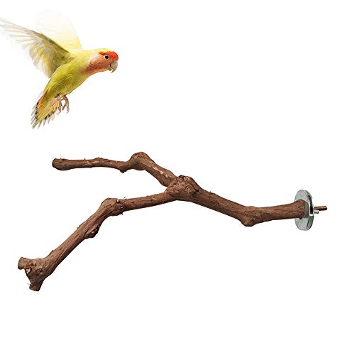 kathson Parrot Perches, Birds Stand Pole Natural Wild Grape Stick Grinding Paw Climbing