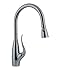 Franke FF2400R Series Dual-Jet Pull Down Kitchen Faucet