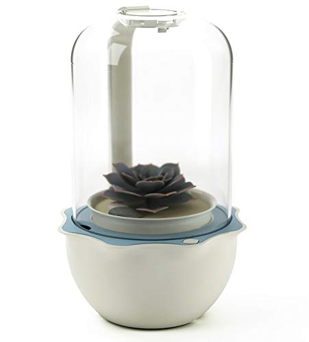 FREEPLANTS Smart Succulent Plant Pot with Adjustable LED Grow Light Timer Ventilation Fan Decoration for Kitchen Apartment Office White (Plants Not Included)