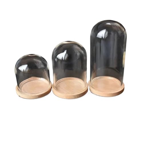Cúpula de vidrio con base de madera ideal para centros de mesa en bodas 2