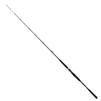 DAIWA 極鋭　ヤリイカEX 82-175 船竿 AGS Amazon | ダイワ(DAIWA) 船竿 極鋭ヤリイカ EX 91-165 釣り竿