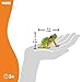 schleich WILD Life | Europäischer Laubfrosch 14882 | detailgetreue Tierfiguren | Zoo Spielzeug | tolles Geschenk für Jungen und Mädchen | Deko für Geburtstag | Spielfigur ab 3 Jahren | 4 x 5 x 3 cm