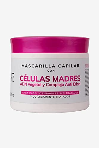 Maxybelt Mascarilla Capilar Con Células Madre de Adn Vegetal y Complejo Anti Edad | Mascarilla Capilar Con Células Madres Adn Vegetal y Complejo Anti Edad 13.6Oz-400Ml