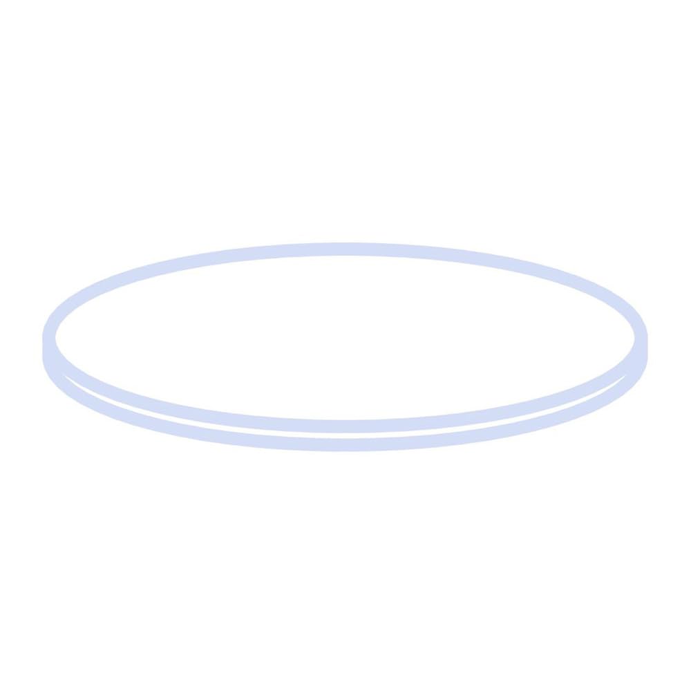 MACHEREY-NAGEL 70261 Septa for Cap N8, PTFE, White, 0.25 mm Diameter (Pack of 100)