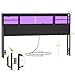 Aheaplus Headboard for Queen Size Bed with Storage, Headboards with LED Light, Power Outlets, USB Ports Queen Size Head Board, Wood headboard Only Sturdy and Stable Headboards, Modern, Black
