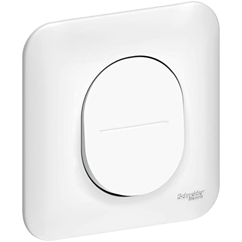 Schneider Electric - Ovalis - interrupteur simple allumage - 10AX - avec griffes avec plaque - S265202
