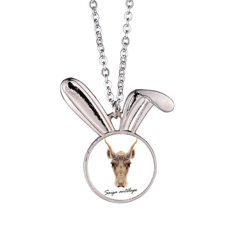 F̖쐶̃TC 킢lbNXANZT[LOi