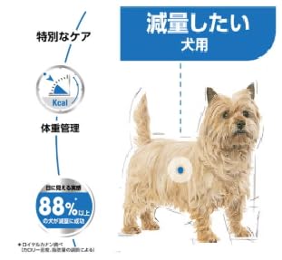 Amazon.co.jp: 【2kg】ロイヤル カナン ドッグフード ミニ ライト