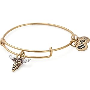 Alex and Ani Womens Spirited Skull Bangle
