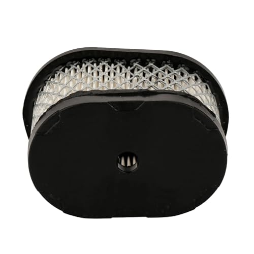 Filtre à air compatible 494586 résout les pertes de puissance - 6