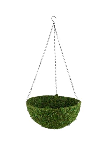 Serene Spaces Living Preserved Green Moss Hanging...