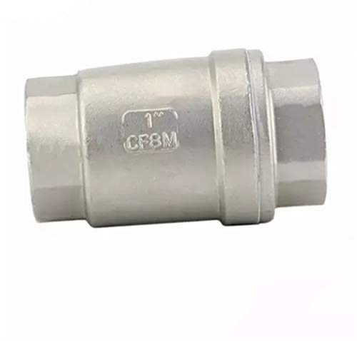 Clapet anti-retour en acier inoxydable SS304 de levage vertical